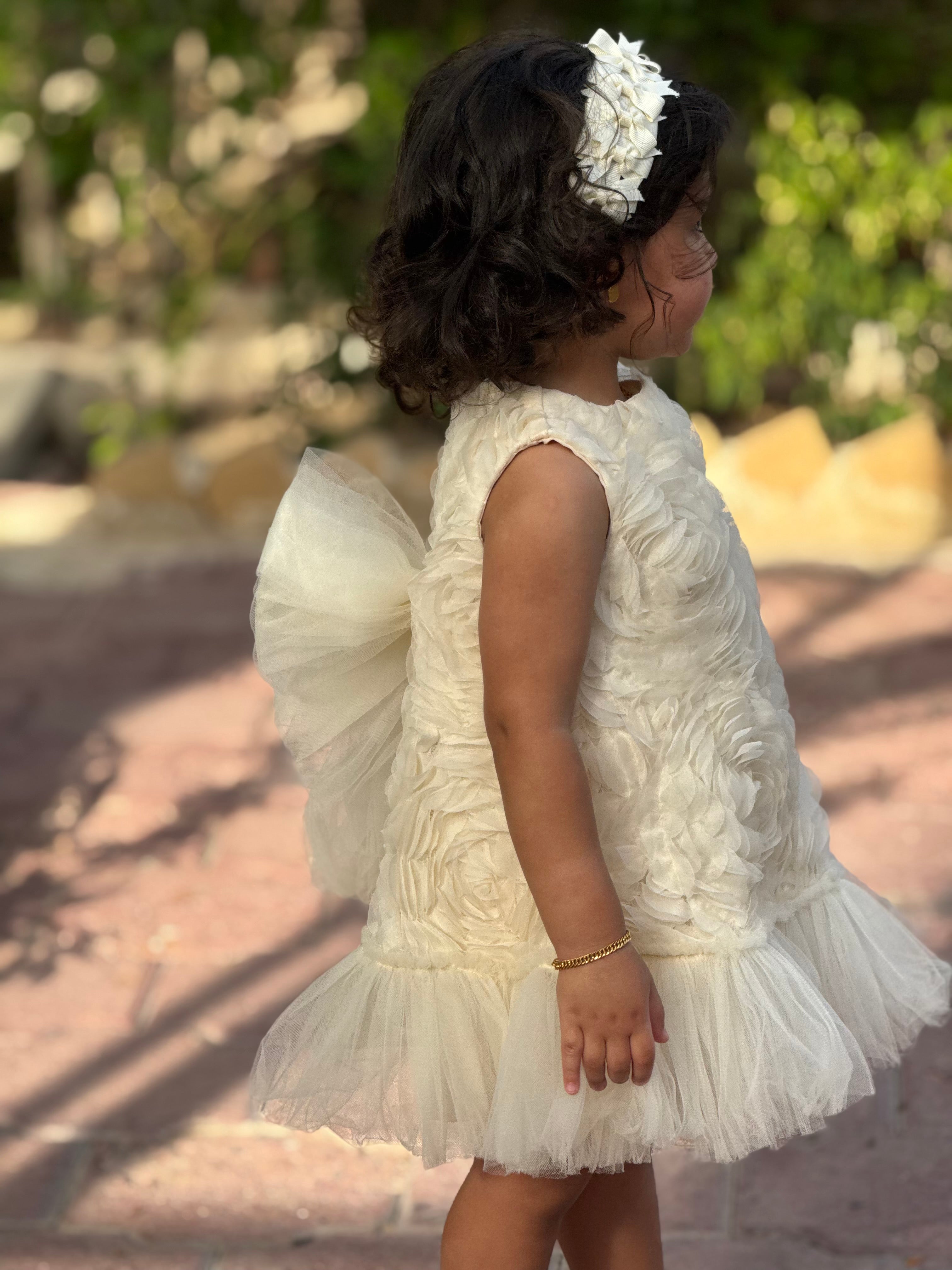 Baby Girl Birthday Party Wedding Dress Short Sleeve Sleeveless Rose Bow Tulle Tutu Lined