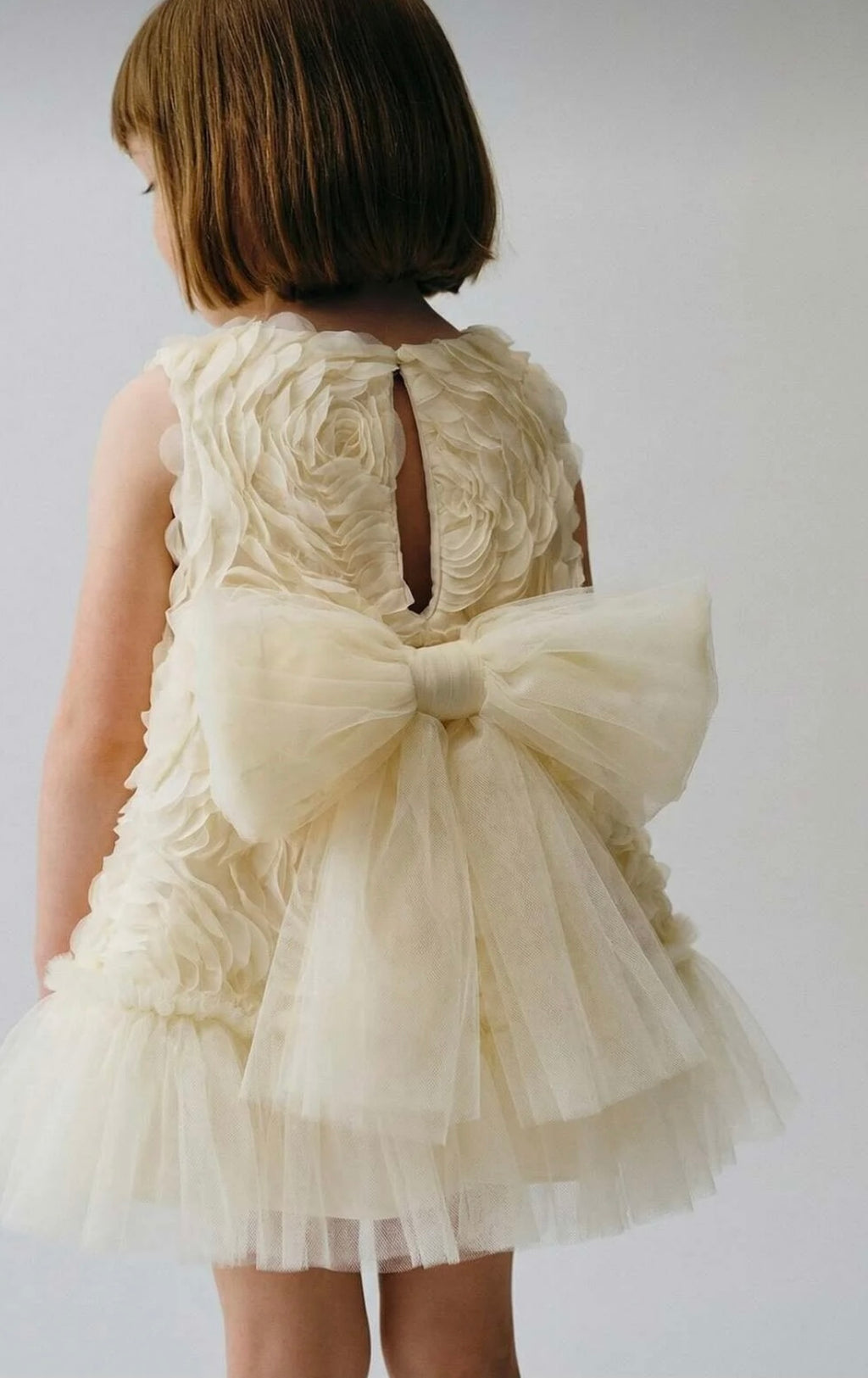 Baby Girl Birthday Party Wedding Dress Short Sleeve Sleeveless Rose Bow Tulle Tutu Lined